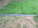 image of grave number 603185